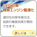 SEO΍